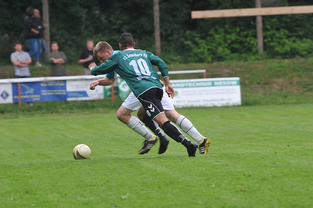 可持续发展 可持续发展