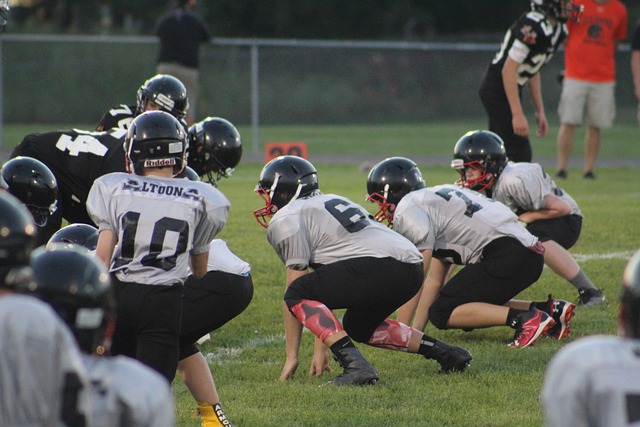 全面解析淮 全面解析淮