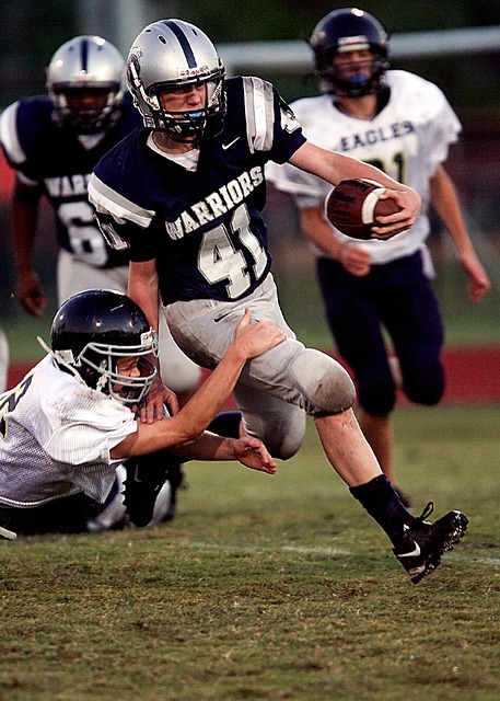 在詹姆斯的 在詹姆斯的