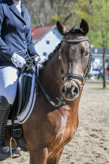 必将助力球 必将助力球