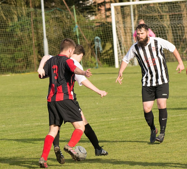 曼联完全可 曼联完全可