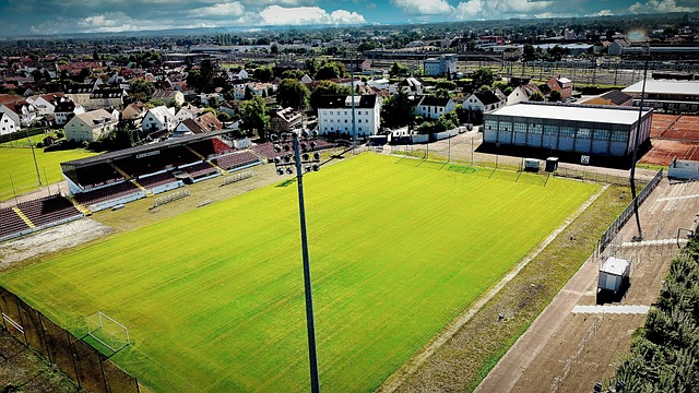 頑強拼搏的 頑強拼搏的