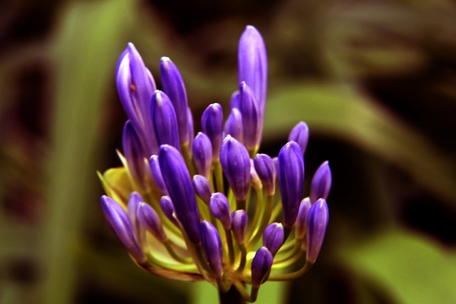 不同的气势 不同的气势