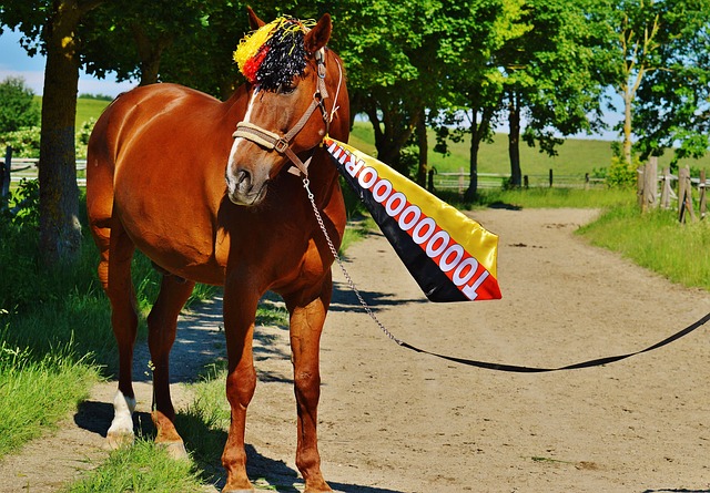 湖人队巧妙 湖人队巧妙