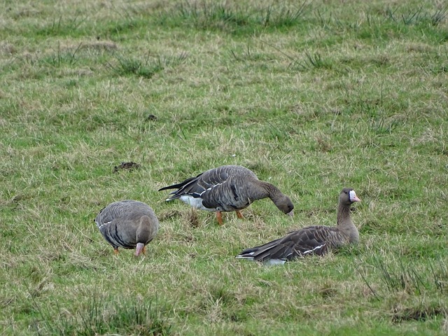 所有因素共 所有因素共