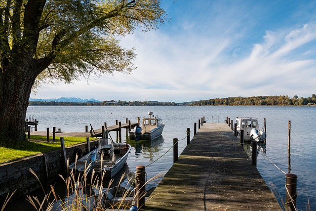 网络舆论的 网络舆论的