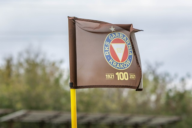 得到了巨大 得到了巨大