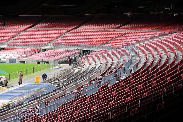 实的 实的