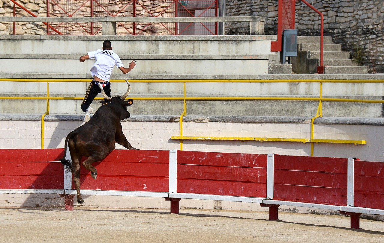 都是黄蜂队