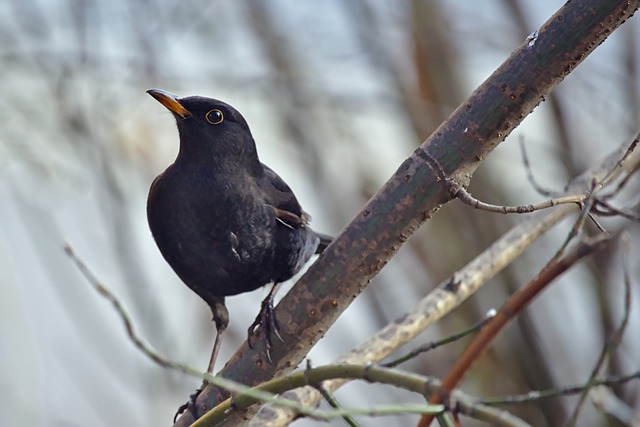 累积 累积